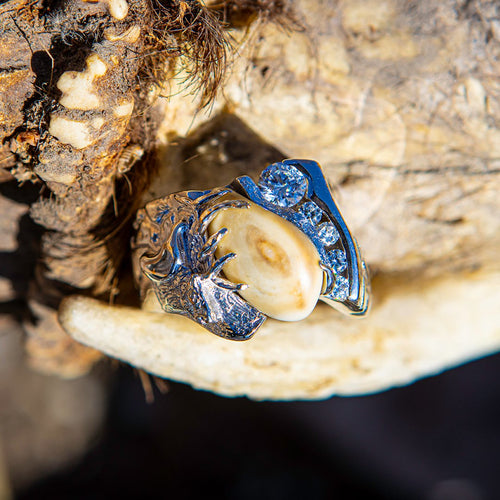 Diamond Royal elk ivory ring in sterling silver with diamonds — custom bull elk ring by Volakai