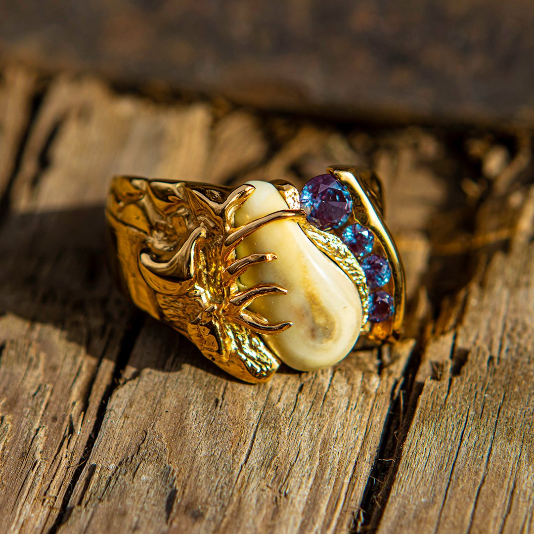 Diamond Royal elk ivory ring in 14k yellow gold with sapphire — custom bull elk ring by Volakai