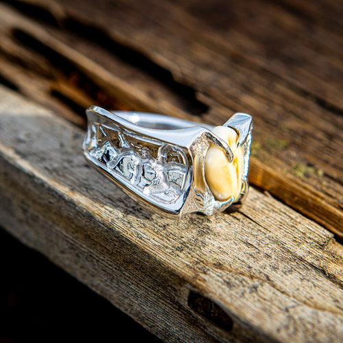 Nugget elk ivory ring in 14k white gold — custom elk tooth ring by Volakai