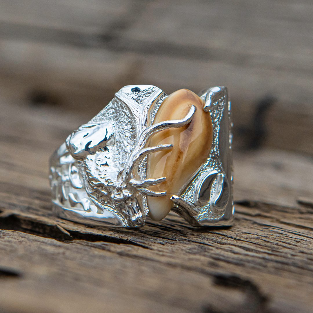 Royal Nugget elk ivory ring in sterling silver — custom bull elk tooth ring by Volakai