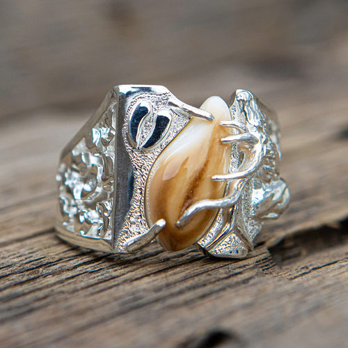 Royal Nugget elk ivory ring in 14k white gold — custom elk tooth ring by Volakai